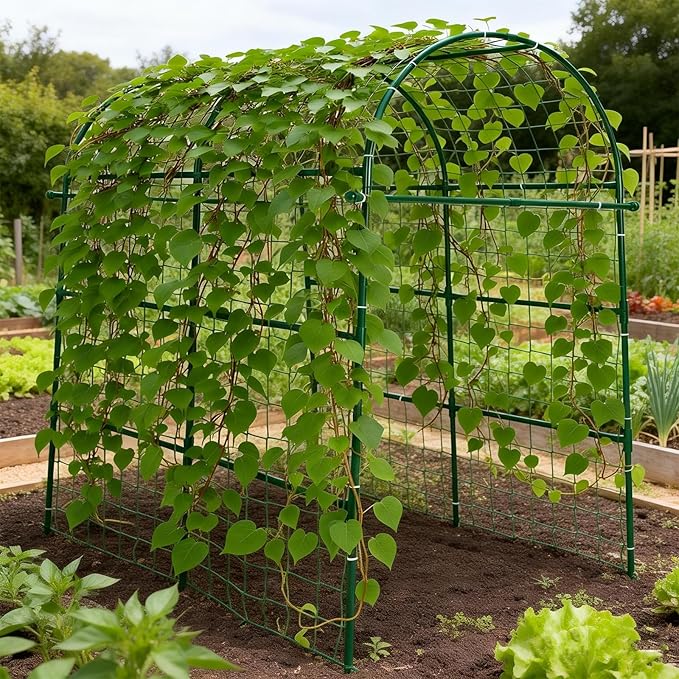 Garden Arch Trellis for Climbing Plants Outdoor - 83" H*71" W*43" L Large Rustproof Garden Trellis, Heavy Duty Grape Trellis, Tunnel Trellis for Melons, Pumpkins, Cucumbers, Peas(Green)