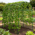 Garden Arch Trellis for Climbing Plants Outdoor - 83" H*71" W*43" L Large Rustproof Garden Trellis, Heavy Duty Grape Trellis, Tunnel Trellis for Melons, Pumpkins, Cucumbers, Peas(Green)