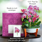 Freshcut Paper Pop Up Cards, Orchid Oasis, 12 Inch Life Sized Forever Flower Bouquet 3D Popup Greeting Card, Anniversary Card, Mother's Day, Blank Notecard & Envelope
