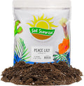 Soil Sunrise Peace Lily Potting Soil Mix (12 Quarts) for Planting, Growing, or Repotting Peace Lily Plants