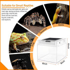 Reptile Terrarium, Jumping Spider Enclosure Starter Kit, Leopard Gecko Habitat Container, 8"x8"x6"Reptile Tank for Tarantula, Hermit Crab, Insect, Fish, Frog, Small Bearded Dragon, Lizard
