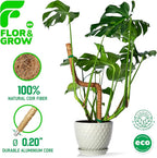 2 Pack 28" Sturdy Easy to Use Moss Pole Monstera Plant Support Stakes - Plant Stakes for Indoor Plants, Moss Poles for Climbing Plants, Tutores para Plantas Trepadoras Monstera Support Sticks
