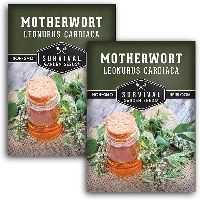 Motherwort Seeds for Planting - Plant & Grow Lion's Tail Medicinal Herbs in Your Home Herb Garden - Non-GMO Heirloom Variety - Survival Garden Seeds