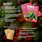 KVITER 50 National Pickling Cucumber Seeds for Planting (Cucumis sativus) - Heirloom Pickling Cucumbers Seed Packets, Non GMO Cucumber Organic - Vegetable Seeds for Home Garden & Containers