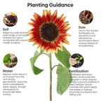 Groundio Sunflower Seeds for Planting, 15+ Varieties, 1 Oz, 300+ Mixed Seeds to Plant Colored Sunflower for Outdoors, Garden, Attracts Pollinators