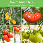 Tomato Seeds 10 Variety Pack for Planting - Black Krim, Roma, Cherry, Aunt Ruby's Green, Hillbilly, Mortgage Lifter, Brandywine, & More - Non-GMO Heirloom Tomatoes - Survival Garden Seeds