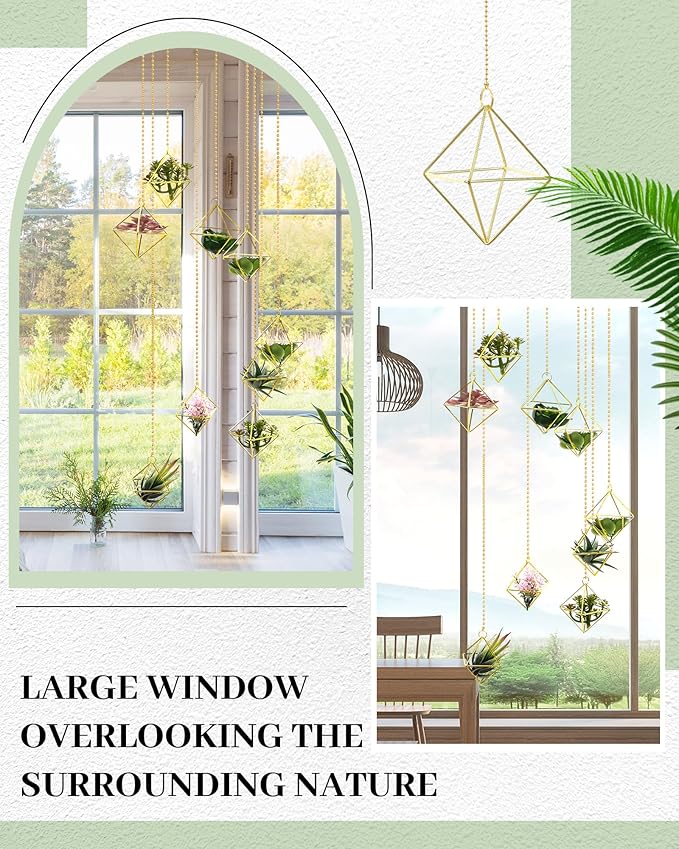 Willinglong 6 Pcs Hanging Air Plant Holder, Gold Tillandsia Air Plant Holders Unique, Airplants Live Holders, Air Fern Macrame Display for Indoor Home Office Ceiling Wall Decor