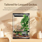 5-in-1 Leopard Gecko Tank Starter Kit, Hide Cave, Seagrass Hammock, Climbing Vine, Tweezers & Dish - 10-20 Gal | Fits Leopard/Crested Geckos, Harmit Crabs, Juvenile Tortoises (Tank Not Included)