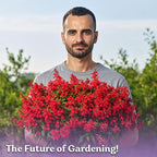 KVITER 2000 Red Cardinal Flower Seeds (Lobelia cardinalis) – Lobelia Garden Seeds for Planting, Cardinal Perennial Flower Seed Packets – Native Wildflower Plant for Outdoor Garden, Containers