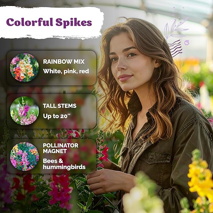 KVITER 1,500 Tetra Mix Snapdragon seeds (Antirrhinum Majus) – Heirloom & Organic Tall Snap Dragon Mix, Annual Flower Garden seeds, Cut Flower Seeds for Planting – Ideal for Outdoor Garden & Containers