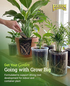 FoxFarm Grow Big Liquid Plant Food - 6-4-4 House Plant Fertilizer for Lush Vegetative Growth, Fast Nutrient Uptake for Roses, Tomatoes & Veggies - Pint Size Concentrate