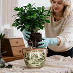 BUYMAX Ceramic Plant Pots for Indoor Plants with Drainage Hole, Vintage Crackle Glaze Hand-Painted Green Flower Planter with Handles, Rustic Decorative Hanging Planter