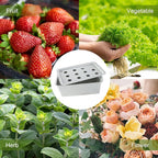 MAOPINER Indoor Hydroponic Grow Kit with Bubble Stone, 12 Sites (Holes) Bucket, Air Pump, Sponges - Best Indoor Herb Garden - Grow Fast at Home