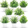 Der Rose 8 Pack Fake Plants Small Artificial Faux Potted Plants for Home Office Farmhouse Bathroom Bedroom Decor Indoor
