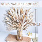 440PCS Natural Dried Pampas Grass Boho Home Decor Bouquet Phragmites Dried Flowers Bouquet for Wedding Floral Arrangements Home Decorations (440PCS)
