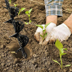 2 Pack Garden Auger Spiral Drill Bit Set - 3 x 12 Inch & 1.6 x 9 Inch with Garden Gloves, Planting Bulb, Bedding Plants, Digging Weeds Roots, Post Umbrella Hole Digger for 3/8" Hex Drive Drill