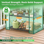 Ohuhu Mini Greenhouse for Indoor Outdoor, Small Plastic Plant Green House 4-Tier Rack Stand Portable Greenhouses with Durable PE Cover for Seedling, 2.5x1.6x5.2 FT, Ideal Gardening Gifts for Women Men