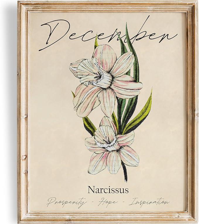 December Birth Flower Art Print - 11x14 (Unframed) | Capturing the Splendor of the December Birth Flower | Decor Accent for Birthdays and Special Occasions | Living Room Décor | Modern Home Décor