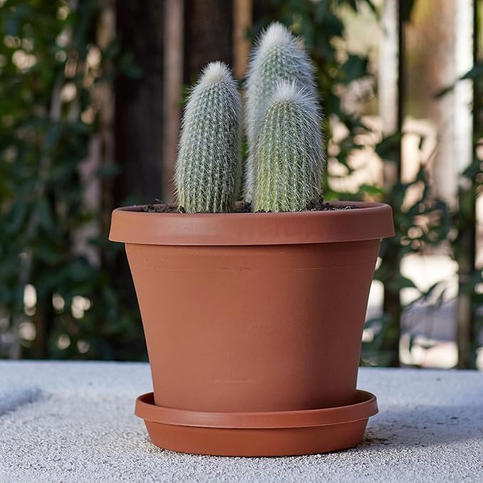 Bloem Terra Pot Planter: 12" - Terra Cotta - Durable Resin Pot, for Indoor and Outdoor Use, Gardening, 3.5 Gallon Capacity, Saucer Sold Separately