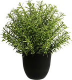 8 Inch Artificial Fake Rosemary Potted Plant, Small Greenery Decor for Shelf Greenery, Realistic Artificial Greenery Pot for Indoor Home Office wall Decor
