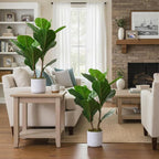 2 Set Fiddle Leaf Fig Fake Plants, 15.7" Faux Green Bonsai Tree with White Marble-Look Pot with Black Speckles, Cement Moss Base, Decorative Artificial Plants Indoor for Home & Office