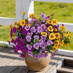 17 Inch Artificial Faux Pansy Flowers for Outdoor,Fake Pansies Flowers with Eucalyptus Leaves Fake Plants Greenery Boxwood Porch Patio Decor 6 Bundles(Pink Purple,Dark Yellow,Magenta)