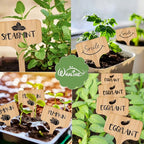 Whaline 30Pcs Wood Plant Labels with A Marker Pen, T-Type Wooden Plant Marker Garden Sign Tags Garden Markers for Seed Potted Herbs Flowers Vegetables, 2.4 x 3.9 Inch