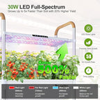 Indoor Hydroponic Growing System with 81 Pods Herbs Garden Kit with 30W Led Grow Light Large Movable 3-Layer Floor-Standing Hydroponic Gardening System for Vegetable Fruit