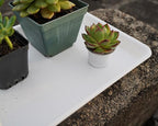 VUWEZ 4 Pack Plant Growing Nursery 1020 Trays, Plant Saucer Tray, Heavy Sturdy Seed Starting Trays, Plant Starter Trays for Indoors No Holes, Seed Starter Growing Tray (22"x11.2", Creamy White)