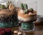 SuperMoss (90424) Desert Terrarium DIY Kit – Build Your Own Mini Desert Garden – Perfect Home Decor and Thoughtful Gifts for Plant Lovers, Appx 4 Oz