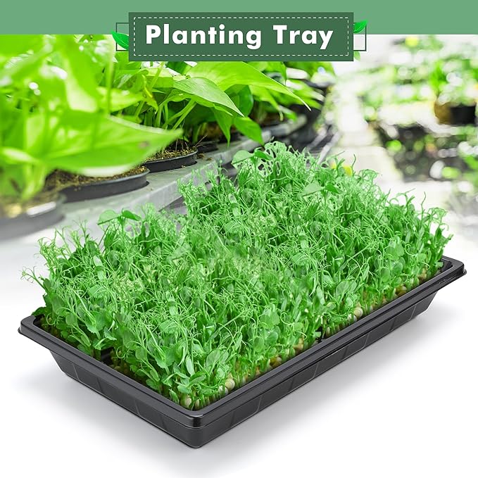 Sckee Upgraded 10 Pack Plant Growing Trays Seed Starting Tray Microgreens Growing Trays Seedling Plant Germination Starter Tray Transplant Fodder Flats, No Holes, No Leakage, Reusable (1017)