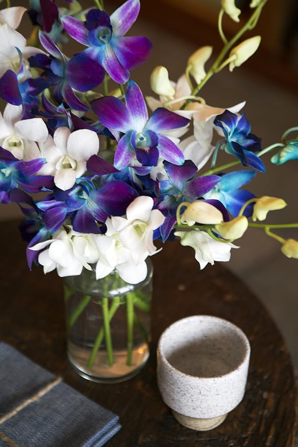 KaBloom - 5 Blue Dendrobium Orchids & 5 White Dendrobium Orchids with Free Vase - Fresh Flowers for Birthday, Valentine's & Mother's Day