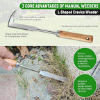 FR 3 Pcs Set Weed Puller Tool, Manual Weed Puller Tool, Crevice Weeder