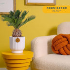 Costa Farms Live Sago Palm, Easy to Grow Live Indoor Plant, Houseplant in Decorative Pot, Home and Room Decor, 1 Foot Tall
