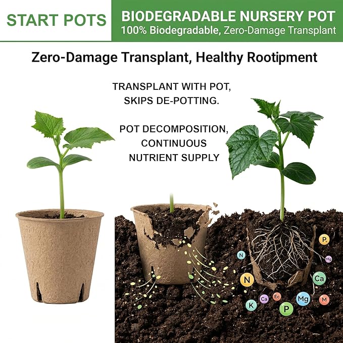 NEWMIAO 60 Pack 3.15 Inch Peat Pots, Biodegradable Seed Starter Pots for Seedlings with Drainage Holes, Germination Nursery Pots Kit Including 100 Plant Labels for Gardening (Round-60pcs)