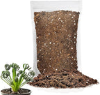 Gardenera Premium Albuca Spiralis Potting Soil Mix - Perfect Balance of Nutrients, Drainage, and Aeration for Thriving Blooms - 20 Quart