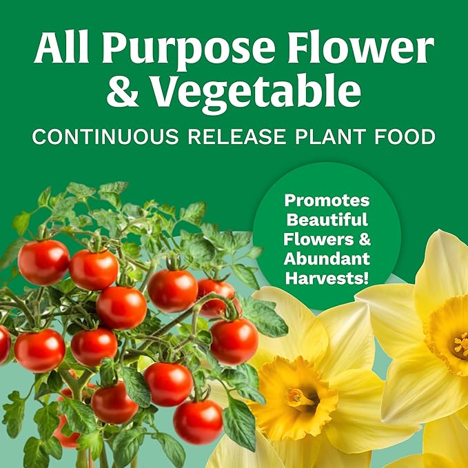Scotts All Purpose Flower and Vegetable Continuous Release Plant Food, For Outdoor In-Ground Plants, 3 lb.