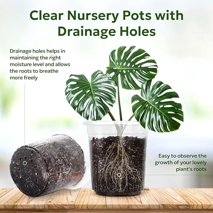 Bluepro 30 Packs 1 Gallon Reinforced Clear Nursery Pots with Drainage Holes, 7 Inch Transparent Plastic Plant Pot Seedling Planter for Vegetable Propagation, Root Cutting, Seed Starting