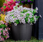 AXYLEX Artificial Flowers for Outdoors Fake Plants - 16 Bundles Faux Outside Greenery Boxwood UV Resistant No Fade Plastic Shrubs Fall Decor Farmhouse Home Garden Mums (White)