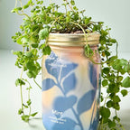 Modern Sprout Garden Jar Gift Pack - Self-Watering Hydroponics Growing System Kit with Organic Herb Seeds - Seed Starter Kit for Indoor Herb Garden - Home Decor & Gifting - Basil, Parsley & Mint