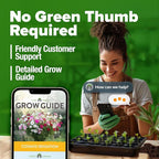 HOME GROWN Cosmos Flower Seeds Bulk Pack for 2026 (1.8 oz) 8,000+ Heirloom Annual Wildflower Seeds Pollinator-Friendly Mix for Pollinators & Outdoor Gardens