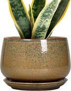 G EPGardening 7 Inch Ceramic Pots for Plants - Ceramic Planters for Indoor Outdoor Plants, Round Plant Pots with Drainage and Saucer, Modern Planter, House Decor, Plant Lover Gifts, Speckled Brown