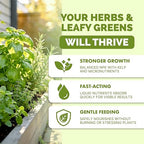 Herb Plant Food – Liquid Fertilizer for All Edible Herbs, Supports Faster Growth, Lush Leaves & Better Flavor, 8 oz