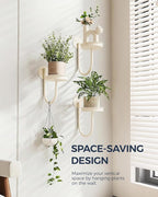 Bamworld Wall Plant Holder Wall Planters for Indoor Plants Plant Hanger Indoor Window Plant Shelves Hanging Plant Holder Window Plant Hanger Plant Decor White 3pcs