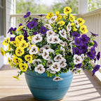 17 Inch Artificial Faux Pansy Flowers for Outdoor,Fake Pansies Flowers with Eucalyptus Leaves Fake Plants Greenery Boxwood Porch Patio Decor 6 Bundles(Dark Purple, Yellow, White)