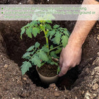 HXSEMAYIG 50PCS Peat Pots, 3.15Inch Seed Starting Pots with Drainage Holes Round Nursery Pot, Garden Germination Nursery Pot Bonus 20 Plant Labels