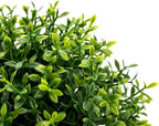 Velener 2Pcs Mini Artificial Boxwood Topiary Faux Plants Indoor- Small Fake Plants Decor Magnolia Home Office Desk Cubicle Farmhouse Kitchen Bookshelf Bedroom Bathroom Decor, Aloe Vera Zen Garden