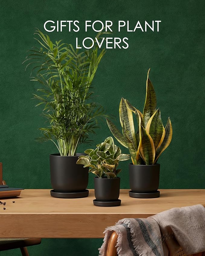 Bamworld Plant Pots Planters for Indoor Plants Flower Pots with Drainage Holes 5/6/7.5 Inch Set of 3 Plastic Planters for Outdoor Plants Garden Pots for Office Room Home Decor Black