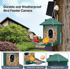 Bird Feeder with Camera,Smart Watching Birds,AI Identify Species 2K Live Video,2.4GHZ WiFi Solar Birds House Cameras for Outdoors,Motion Detection Instant Arrival Alerts,Ideal Present for Birds Lovers