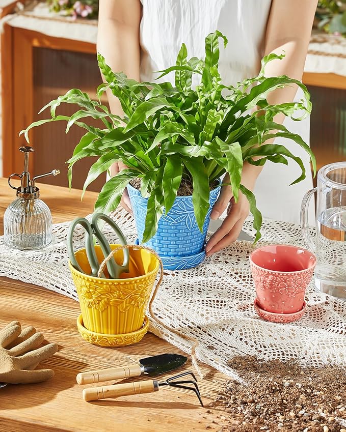 Metahom Succulent Ceramic Pots, 3.8 Inch Small Plant Pots with Drainage Hole & Saucer, Flower Planter Pot for House Plants Cacti, Home Decor, Set of 4, Assorted Colors